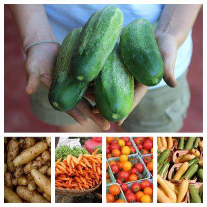 PickYourOwn_Nashville_StonyCreekFarm_NashMomsBlog