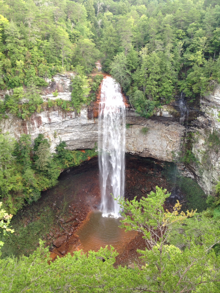 are dogs allowed at fall creek falls state park