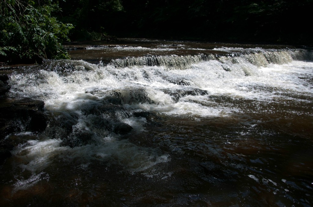 David Crockett Park_nashmomsblog