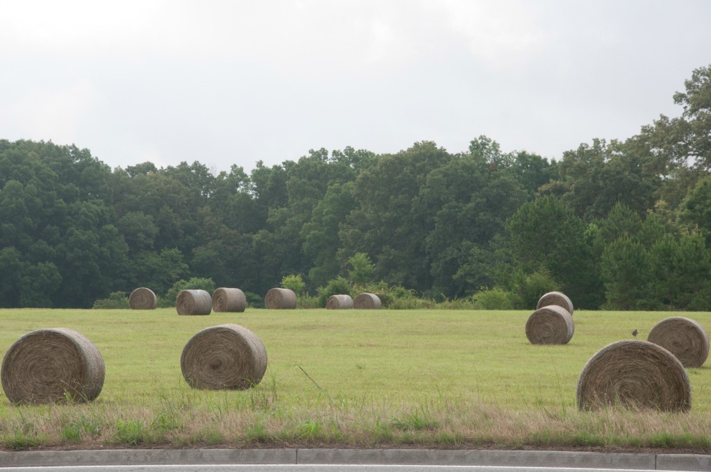 Lawrence Co. 175th_hay_nashmomsblog