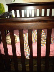 photo (59)