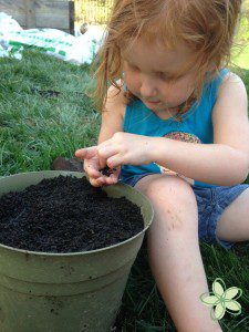 Maddie planting