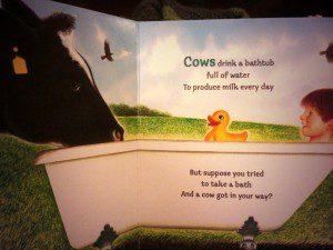 Cows drink water