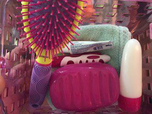 shower caddie, hairbrush, soap, shampoo, razor, toothbrush