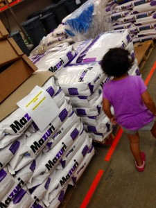 This is just a small portion of the dry food that is kept in the commissary for the Nashville Zoo animals.
