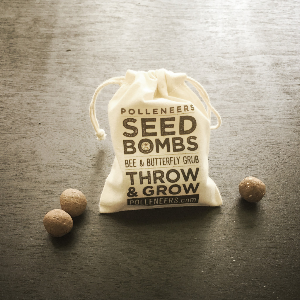 seed-bombs-1