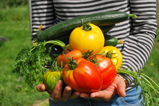 vegetables gardening NMB