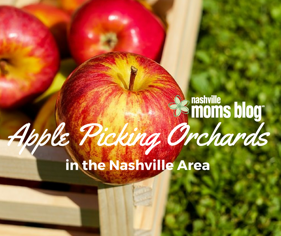 apple picking fall orchards Nashville middle Tennessee apples autumn you pick