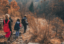 Top 5 Fall Family Hikes Near Nashville