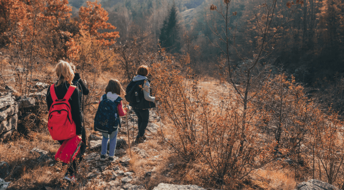 Top 5 Fall Family Hikes Near Nashville