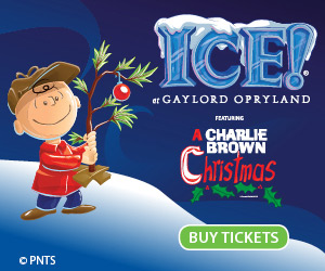 17-GO-8032-ICE!-Ft-Charlie-Brown-Banner-Ads-Static22-300X250