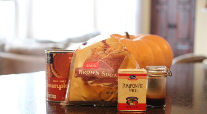 One Can of Pumpkin — Three Fall Recipes