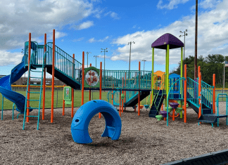 Favorite Parks in the Williamson County Area