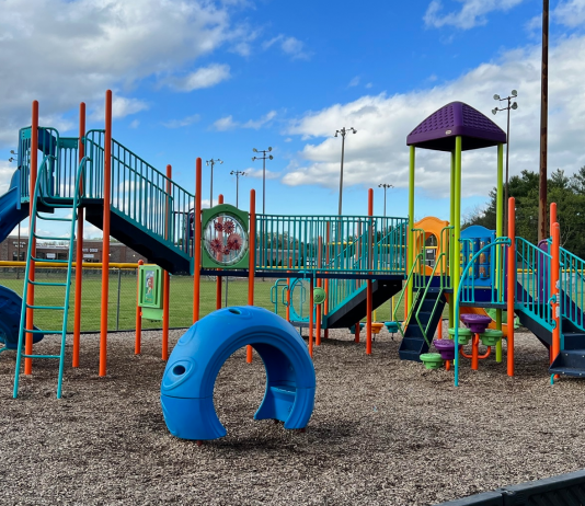 Favorite Parks in the Williamson County Area