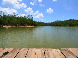 Local Sandy Beaches Near Nashville
