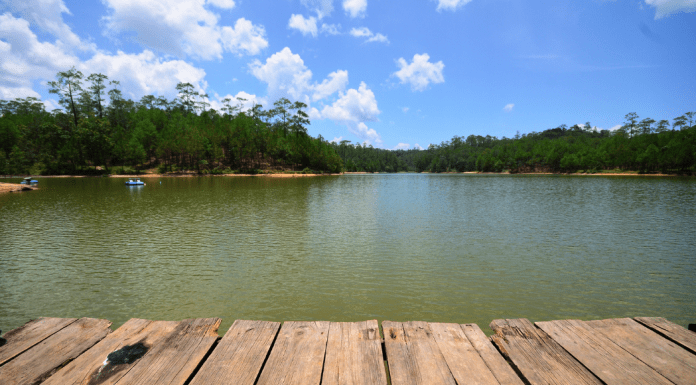 Local Sandy Beaches Near Nashville