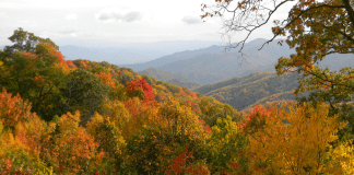 Best Places to See Fall Leaves around Nashville