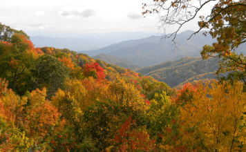 Best Places to See Fall Leaves around Nashville