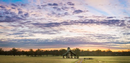 Guide to Brentwood Tennessee
