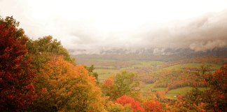 Nashville Fall Getaways