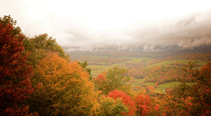 Nashville Fall Getaways