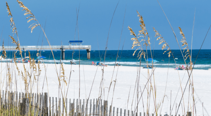 Orange Beach Alabama