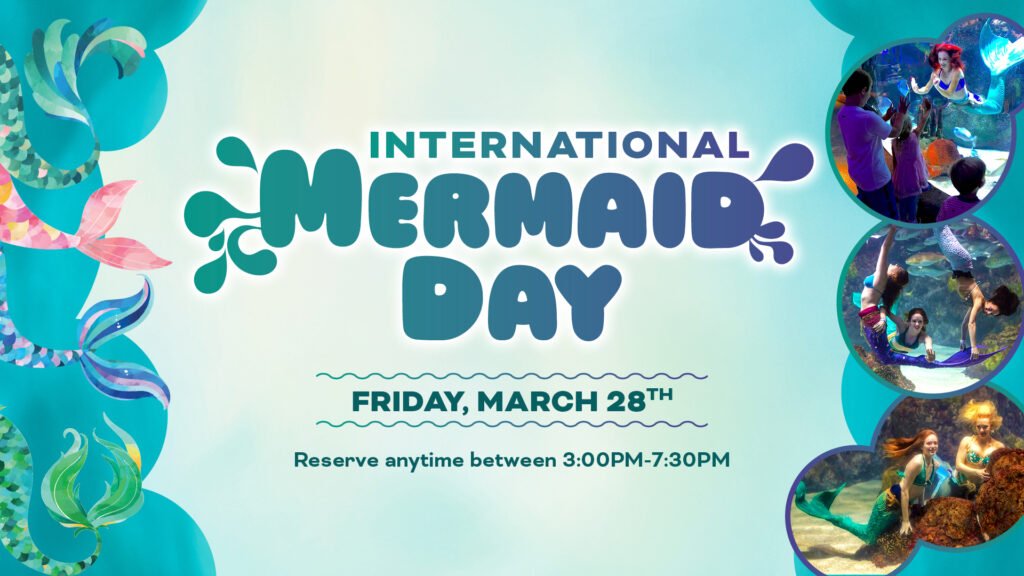International Mermaid Day- Mermaid Dinner Shows