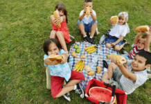 Picnic Spots In and Around Nashville