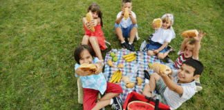 Picnic Spots In and Around Nashville