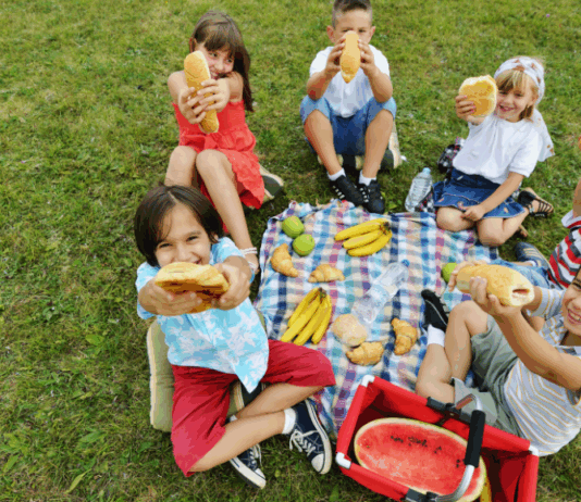 Picnic Spots In and Around Nashville
