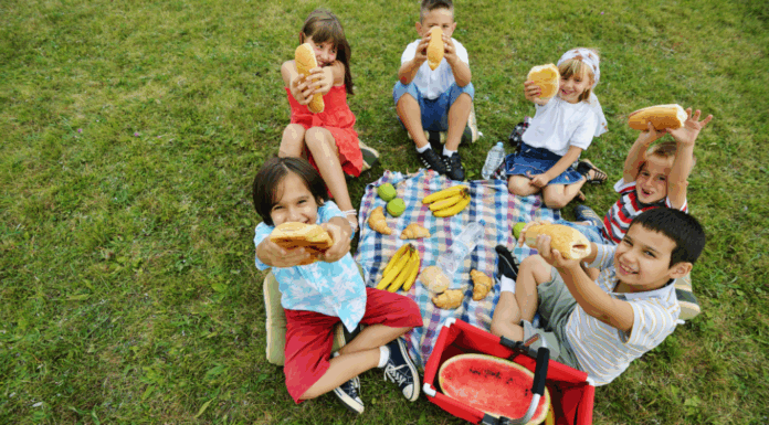 Picnic Spots In and Around Nashville