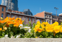 Spring Break Travel Ideas : Driving Distance from Nashville Spring Break Trip Ideas From Nashville