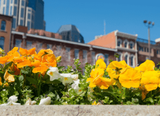 Spring Break Trip Ideas From Nashville