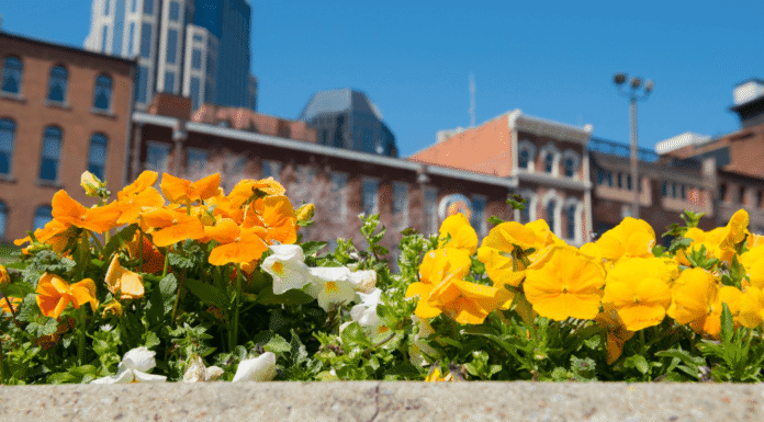 Spring Break Trip Ideas From Nashville