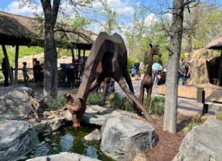 Nashville Zoo
