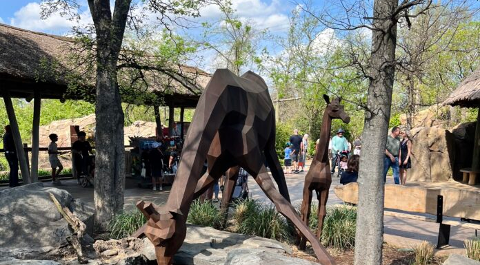 Nashville Zoo
