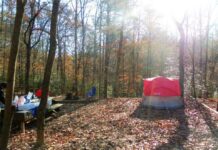 Your Guide to Family-Friendly Campgrounds Near Nashville