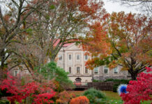 Picture Perfect: Nashville’s Most Beautiful Family Photo Spots