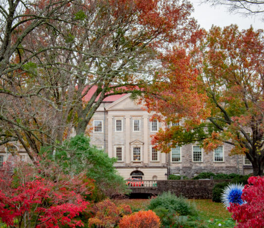 From STEM to Soccer: A Nashville Mom’s Guide to Fall Break Camps