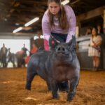 kenzie-gWR3O_-N3Fg-unsplash