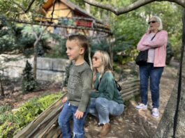 Fall Break On A Budget: A Week’s Worth of Free Activities Around Nashville!