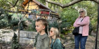Fall Break On A Budget: A Week’s Worth of Free Activities Around Nashville!