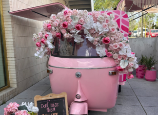 Channeling Our Inner Pink: The Prettiest Pink Places Around Nashville Every Mom Will Love Pink in Nashville