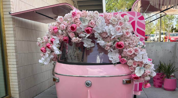 Pink in Nashville