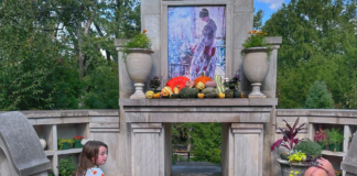 Fall Spots in Nashville
