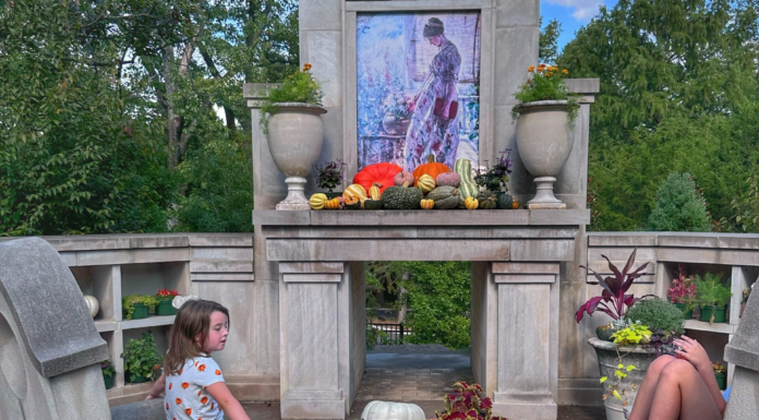 Fall Spots in Nashville