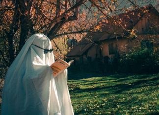 Fall Thriller Reads For Mom – And Not-So-Scary Books For Kids Halloween Book Reads